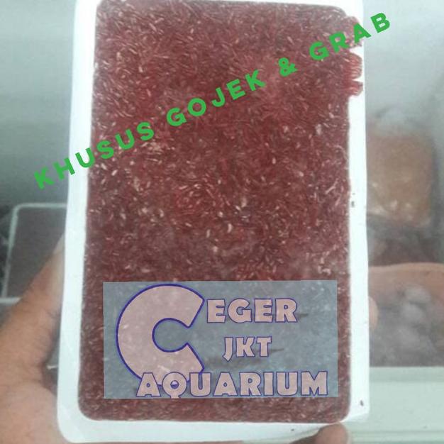 cabek / bloodworm super