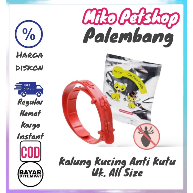 Kalung ANTI KUTU Kucing