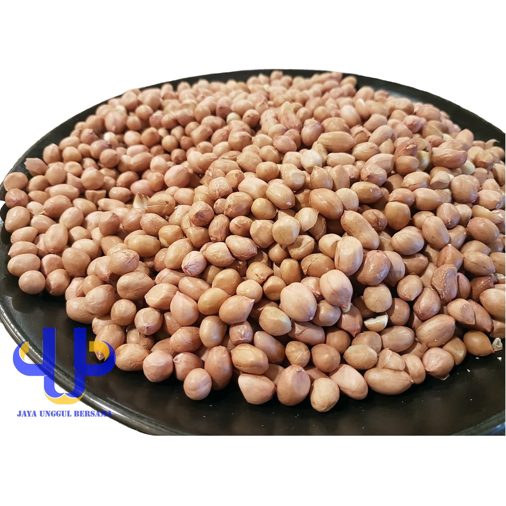 

Kacang Tanah Impor Kualitas Premium 500 GR
