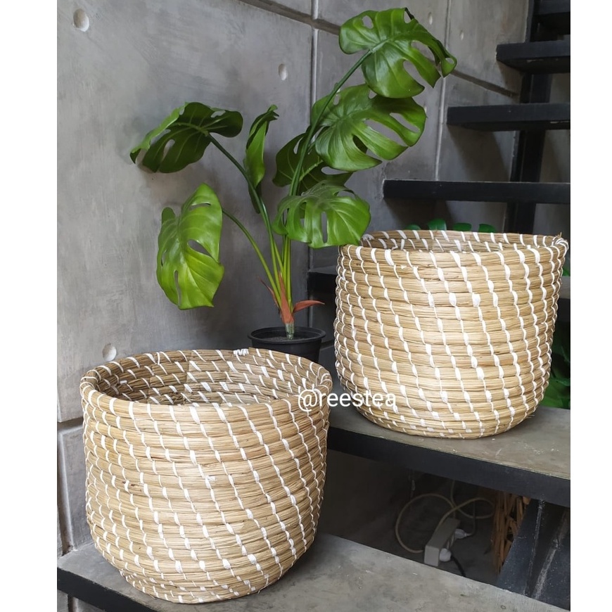 Jual Keranjang Anyam Mendong Ikat White Natural Cover Pot Keranjang Anyam Shopee Indonesia