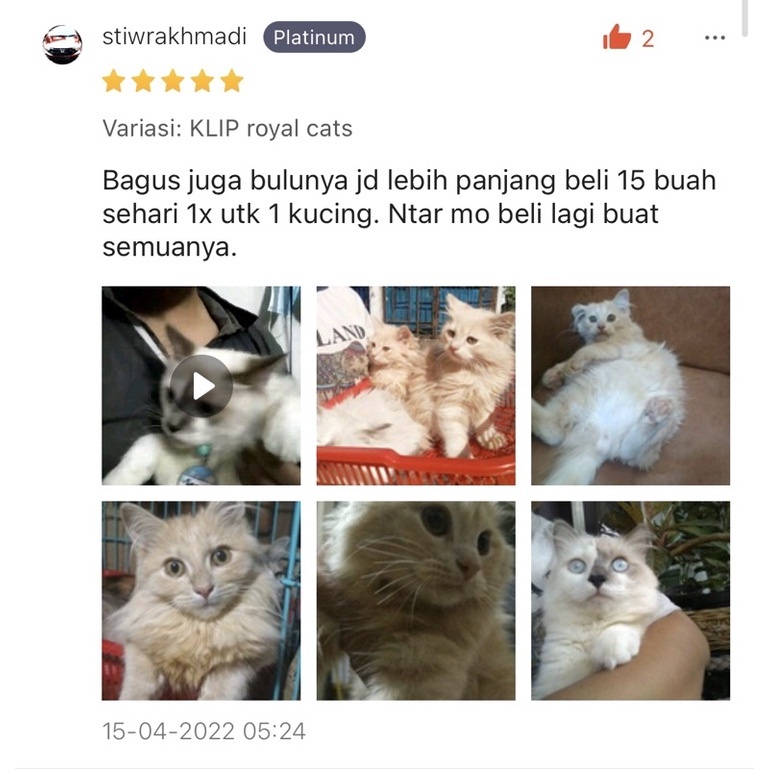 Royal Cats Healthy Skin and Coat Vitamin Bulu Gondrong dan Kulit Kucing