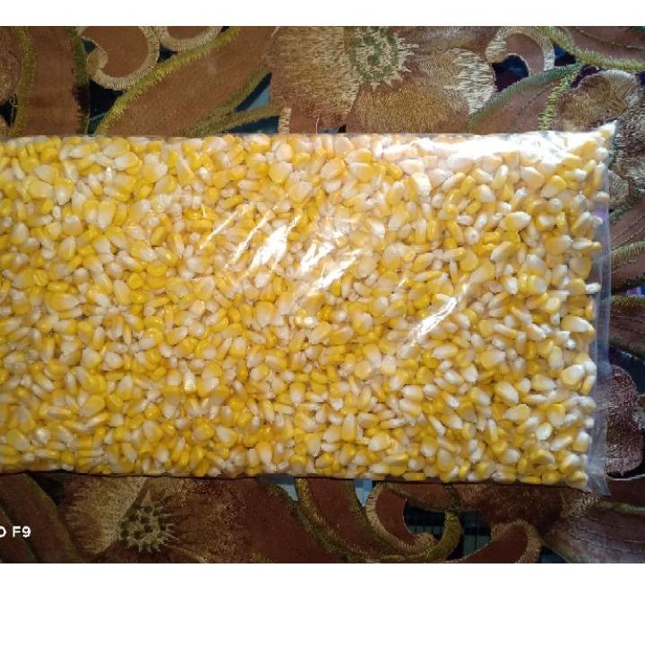 

ㅱ JAGUNG JASUKE 1 KG BIG SALES 4098 ✿
