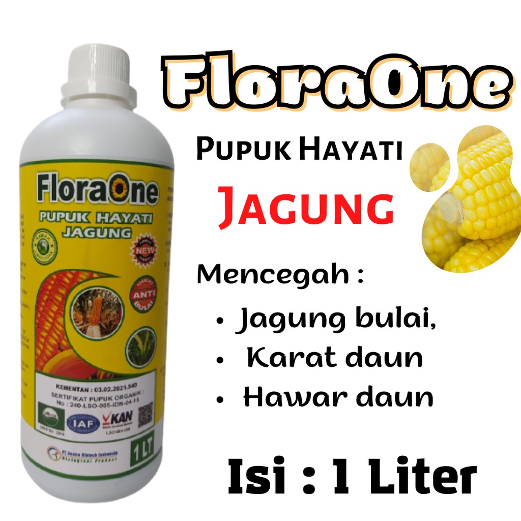 Pupuk Hayati Cair Floraone untuk jagung hasil Melimpah, Nutrisi tanaman jagung pembesar buah
