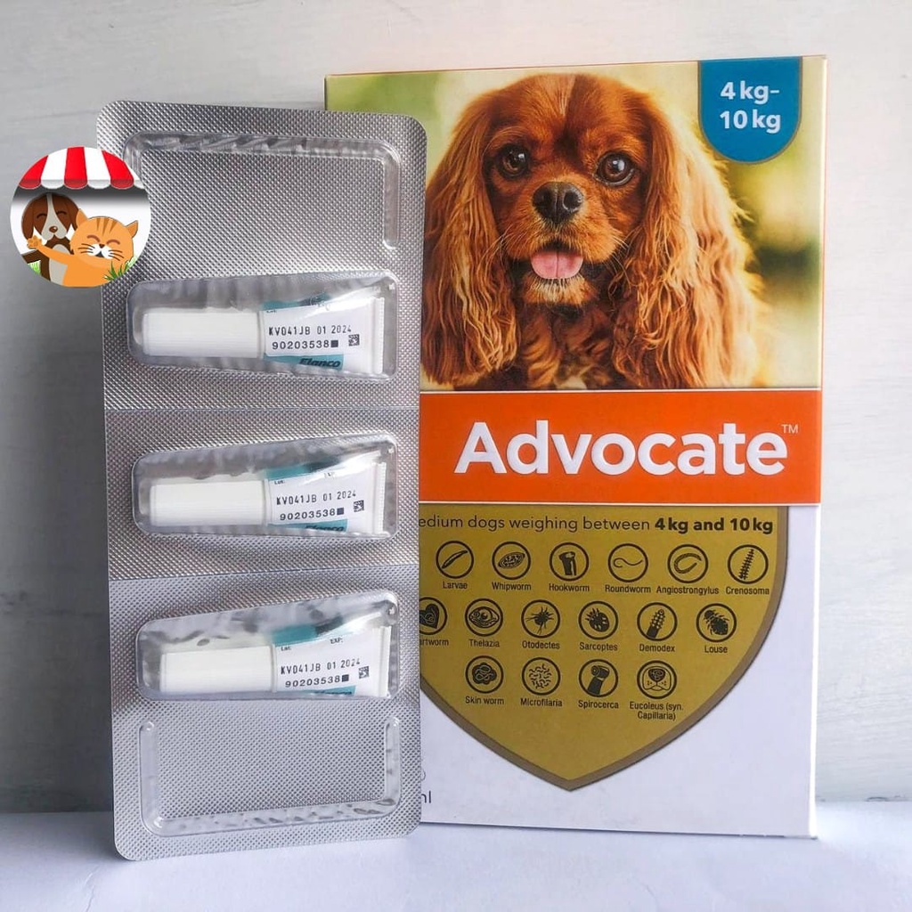 Advocate For Medium Dog Bb 4kg-10kg - Obat Kutu &amp; Cacing Anjing Per Tube