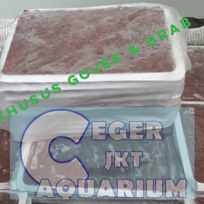 cabek / bloodworm super