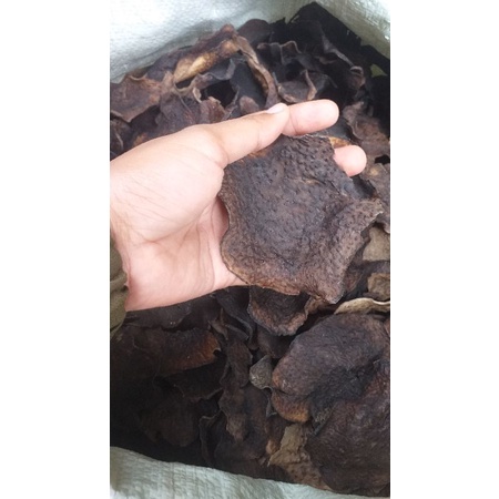 OPAK GADUNG HITAM MENTAH KEMASAN 1 Kg/KERIPIK GADUNG