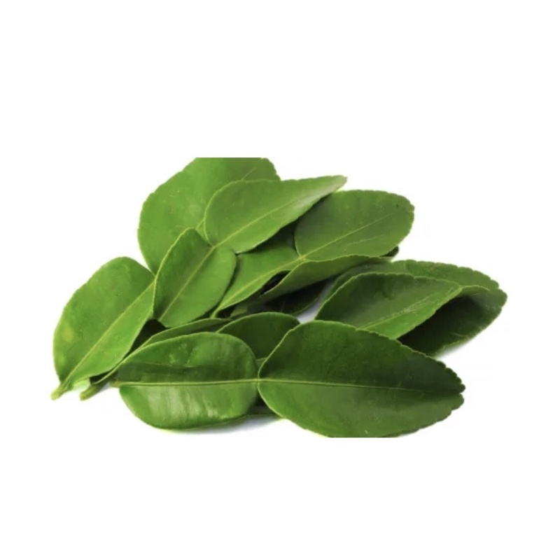 

Daun jeruk fresh