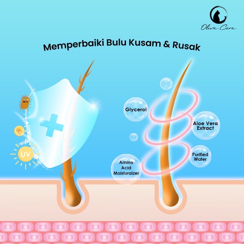 Olive Care Shampoo kucing 60ml  Revitalizing Conditioner untuk bulu rusak kusam
