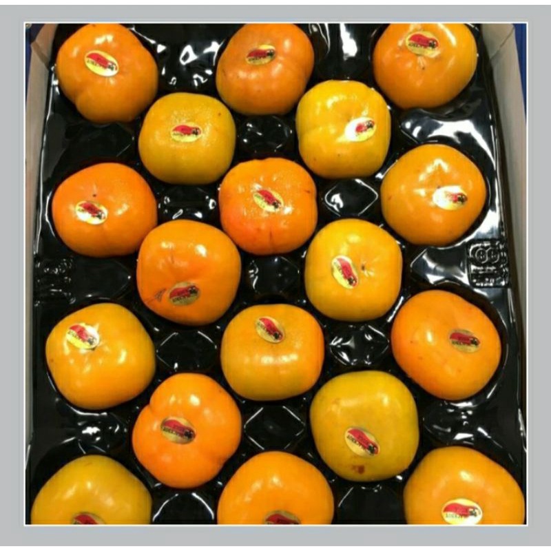 

PERSIMMON IMPORT/KESEMEK