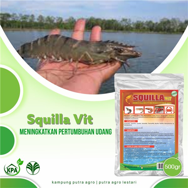 Probiotik untuk meningkatkan kesehatan dan Bobot Udang & Lobster - Obat Vitamin Peningkat Bobot Udan