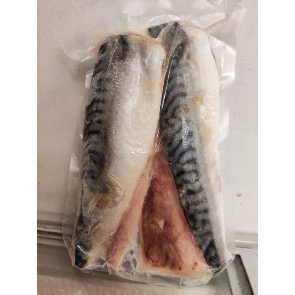 surabaya frozen fillet ikan makarel