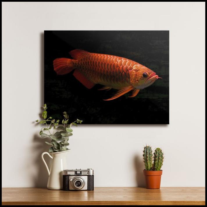 Poster Ikan Arwana Red Tail Golden - Dekorasi Hiasan Dinding Kayu