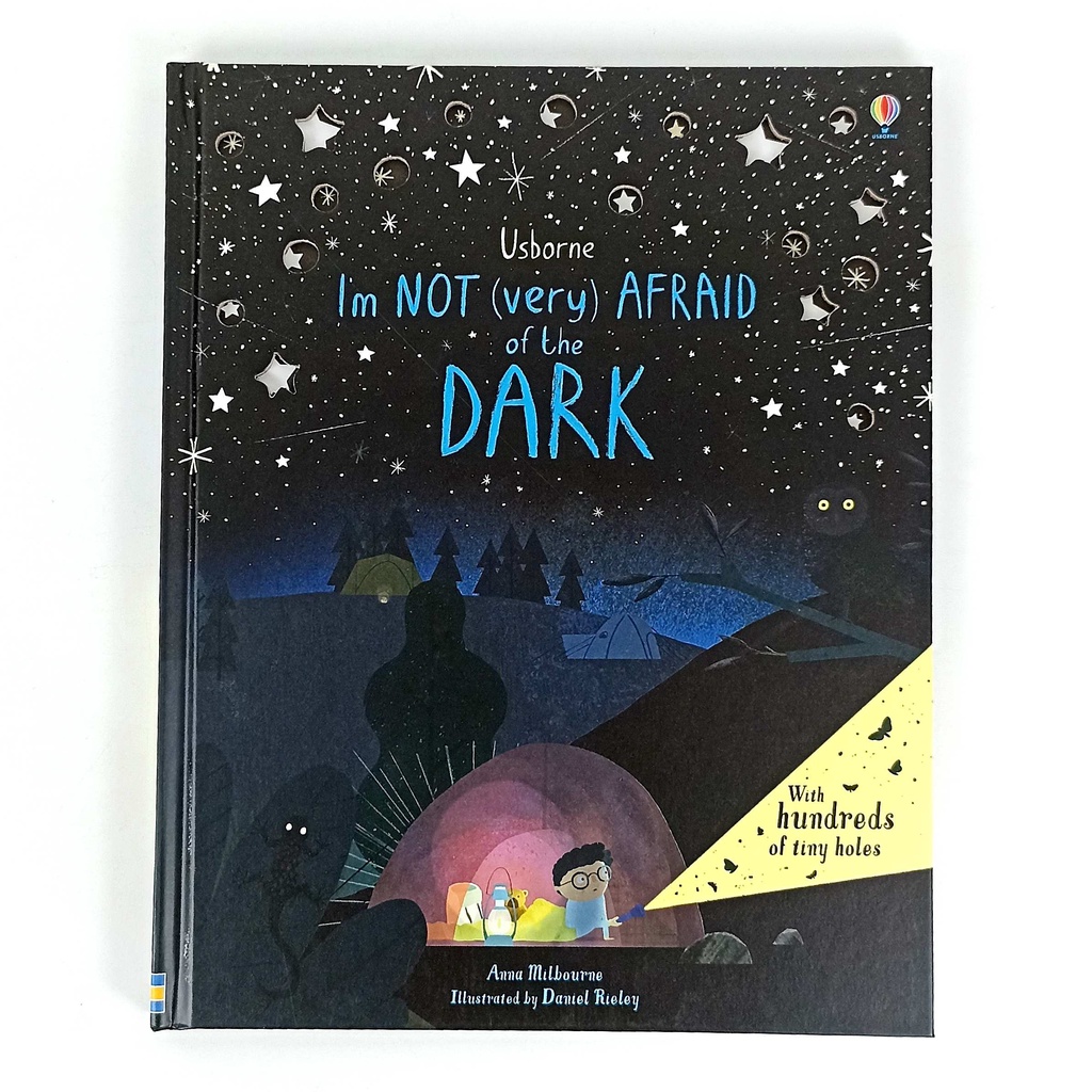 ORIGINAL Usborne I'm Not (Very) Afraid of the Dark - Leon Books