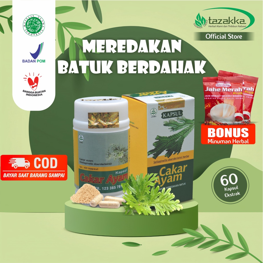 

Kapsul Daun Cakar Ayam 60 Kapsul Obat Batuk Berdahak Tazakka Original Halal BPOM Isi 60 Extract Capsule Herbal TBC Bronkitis Radang Paru Sakit Tenggorokan Suplemen Kesehatan Antioksidan Vitamin Daya Tahan Tubuh Dewasa