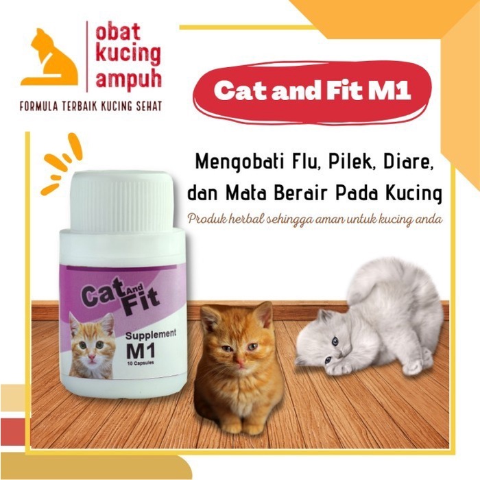 SUPLEMEN OBAT KUCING AMPUH UNTUK MATA BERAIR KUCING CAT AND FIT M1