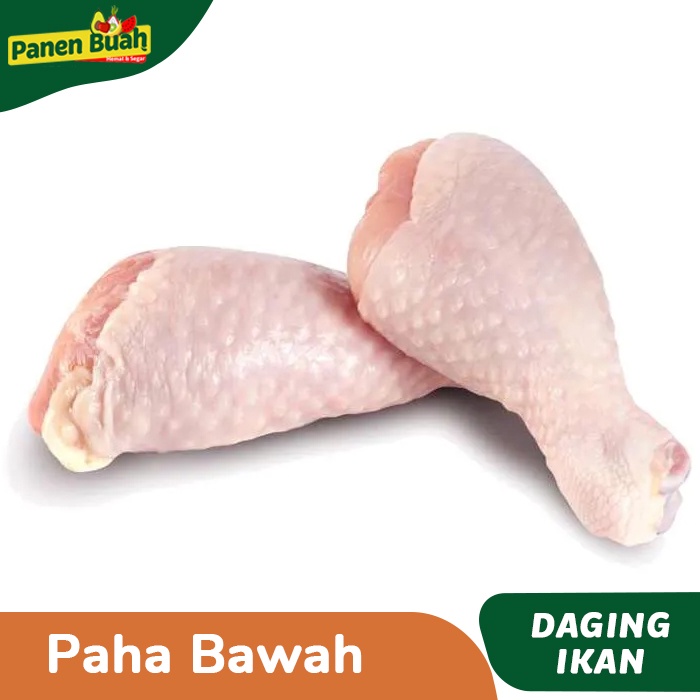 

Paha Bawah Fresh/Segar