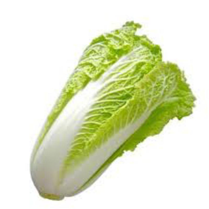 

Garansi.!! Sawi putih Segar (500g-1000g)