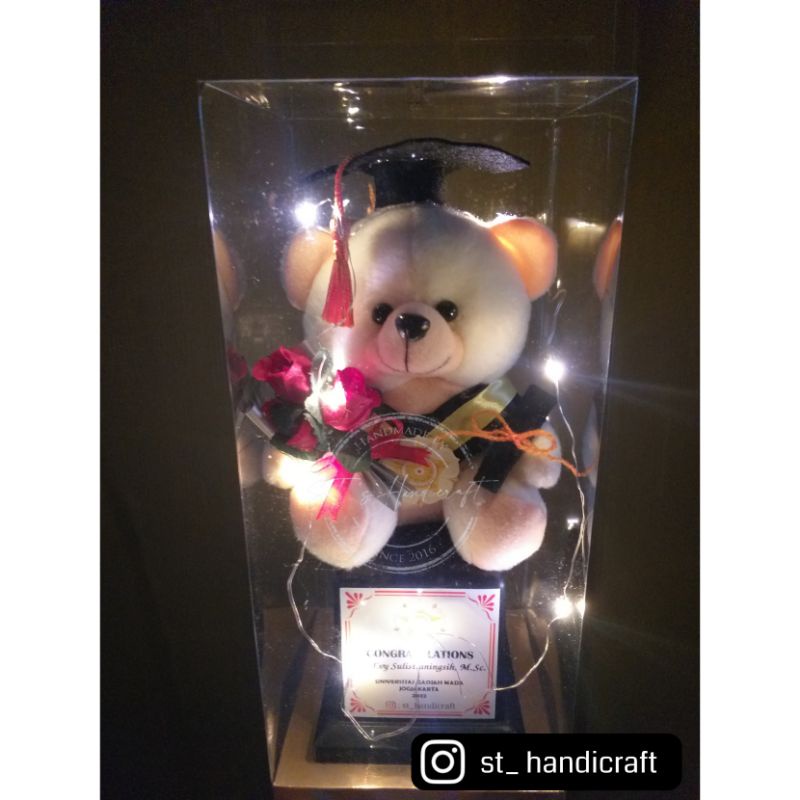 Piala Boneka Wisuda + Kotak Mika (GRATIS request nama, logo, ucapan)