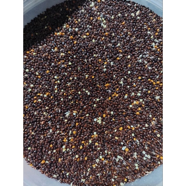 MILET HITAM / BLACK MILET 500g