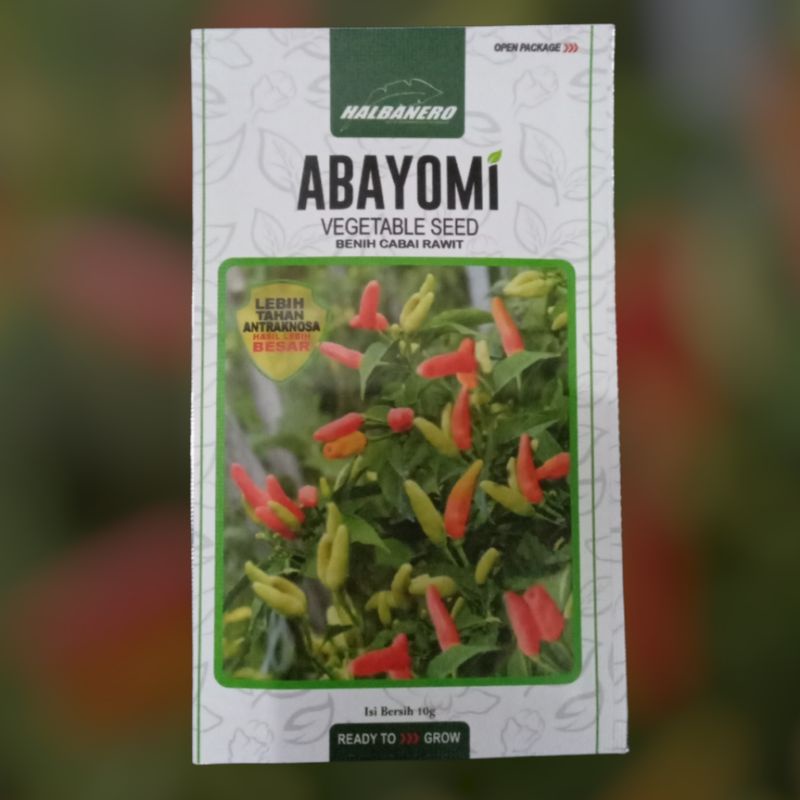 benih cabai rawit abayomi 10 gram