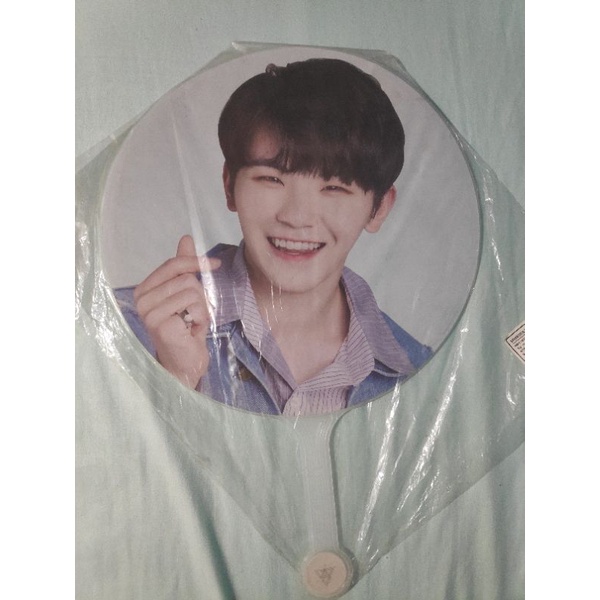 Seventeen Woozi image picket Ideal Cut