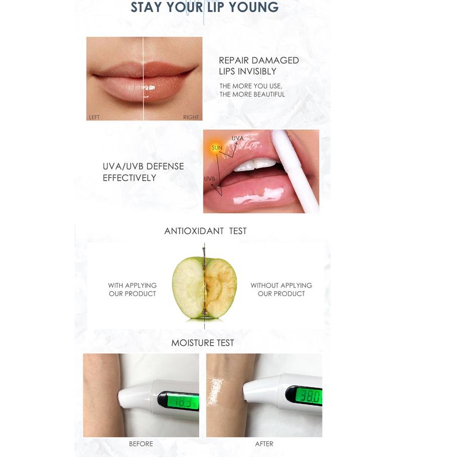 ひ Focallure Plumpmax Lip Gloss Focallure Lipgloss Focallure Lipstick glossy Focallure Lipstick Focal
