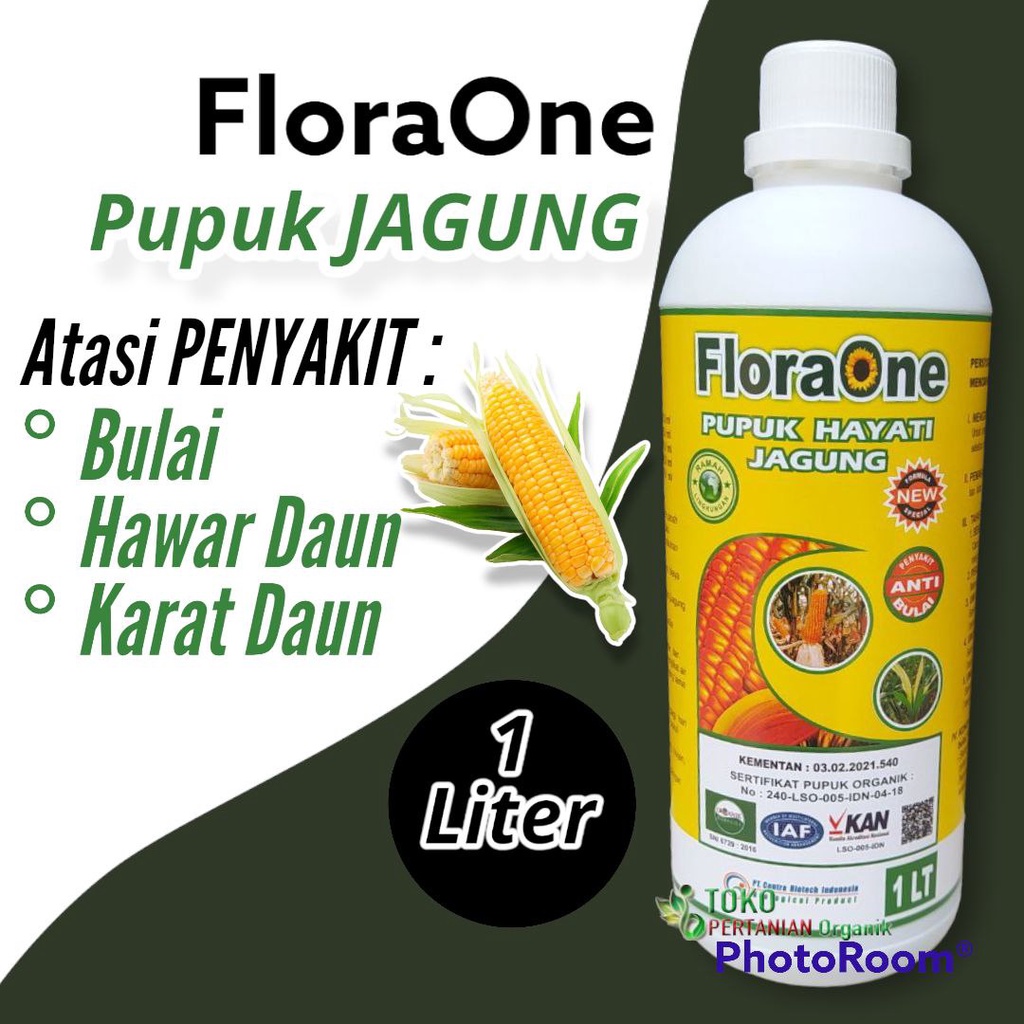 Jual Pupuk Cair Jagung Floraone Pengendali Hayati Agar Jagung Berbobot Dan Bebas Dari Penyakit