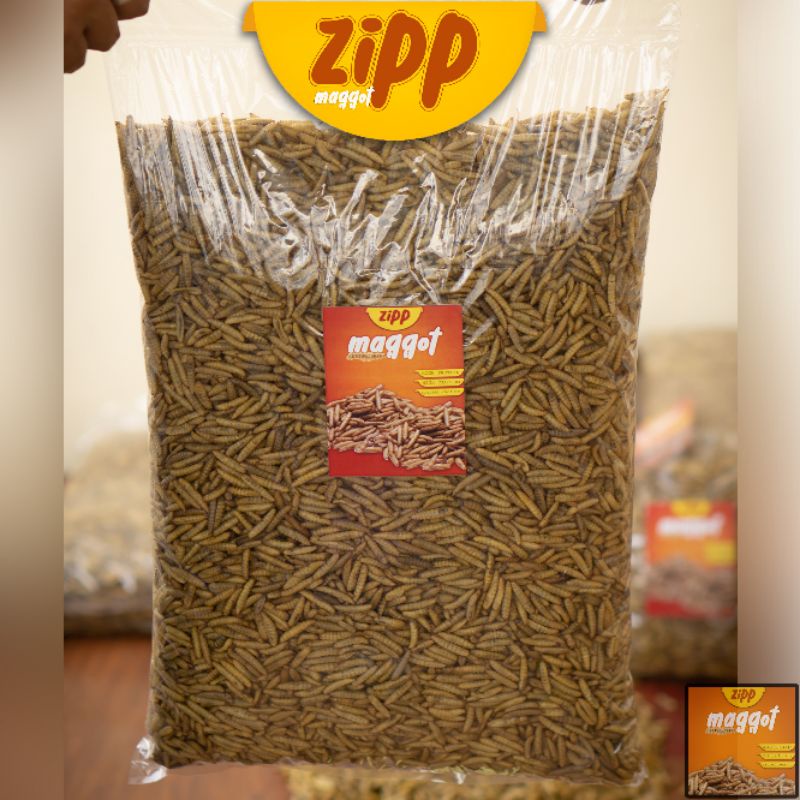 MAGGOT KERING 1KG GRADE A+ (dried maggot 1kg)PREMIUM