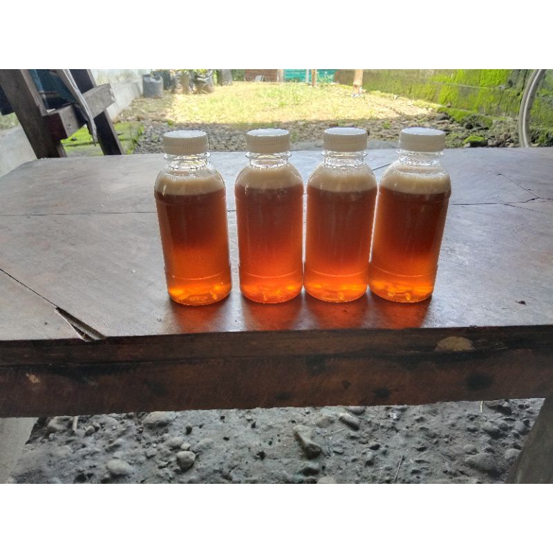 

Madu Hutan Original 100% Alami 260g