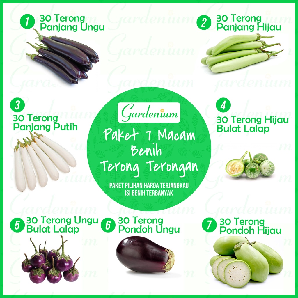 Macam Benih Tananam Paket 7 Macam Benih Terong - Bibit Terong Ungu, Hijau, Putih, Bulat, dan Pondoh 