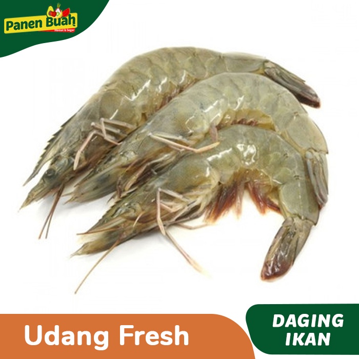 

Udang Segar/Fresh