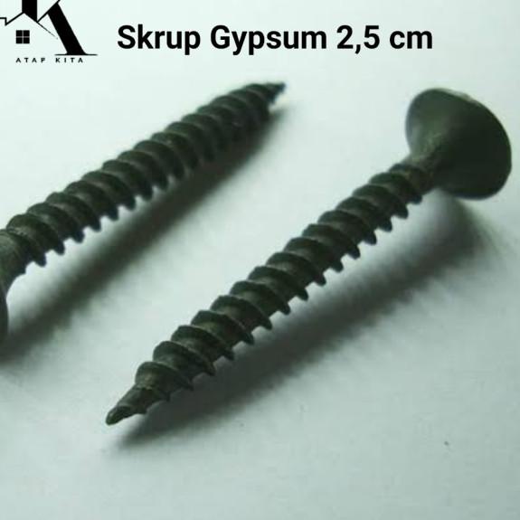 Skrup Gypsum / Screw Gypsum 6x1 inch / Skrup Papan 1000 pcs