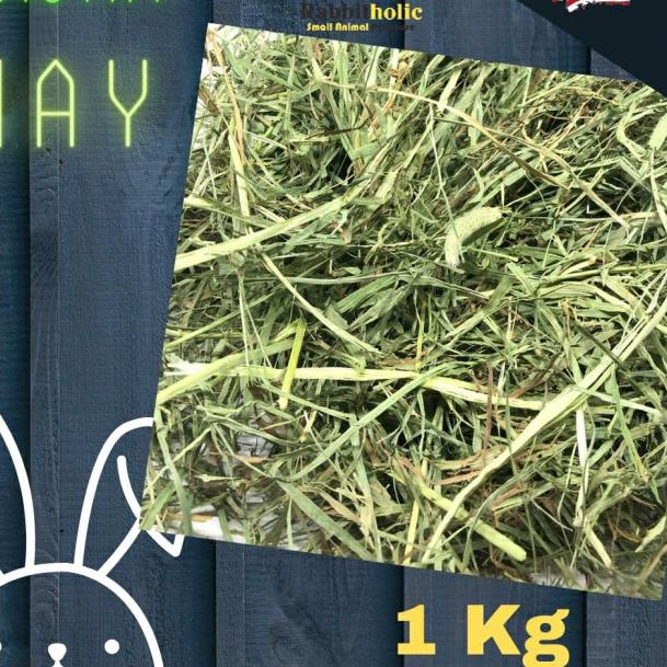 Timothy Hay import USA 1Kg rumput makanan kelinci cavy chinchilla - 1st Cut