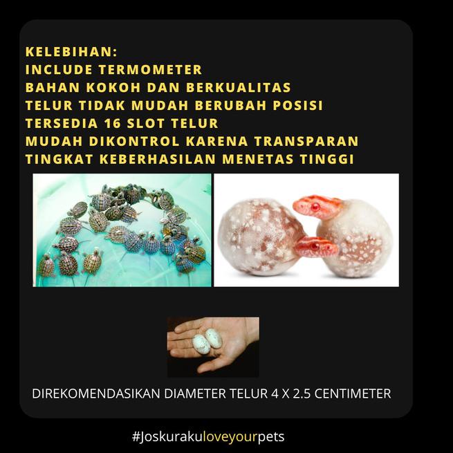 Inkubator Reptil Telur Incubator Egg Gecko Ular Kura Kadal Reptile Egg - Incubator saja