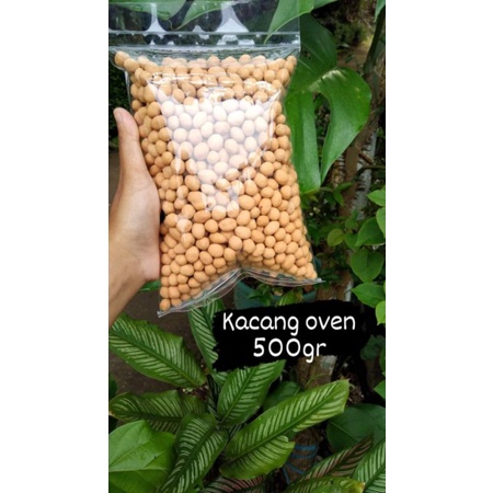 

kacangovenbima