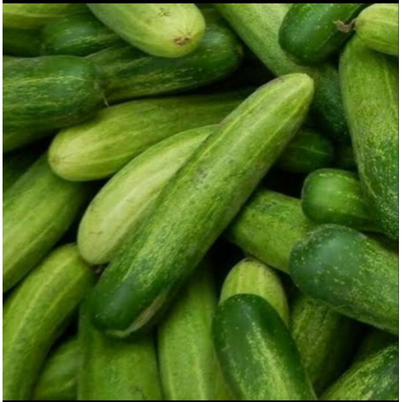 

timun segar/timun fresh