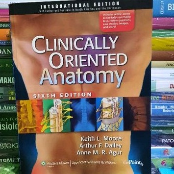 ORIGINAL CLINICALLY ORIENTED ANATOMY