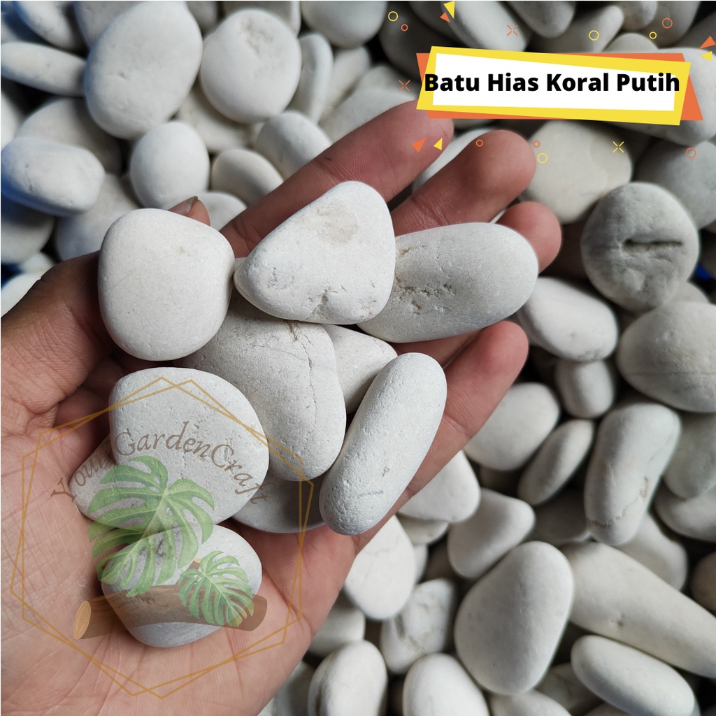 [JM_Garden] Batu Hias Koral Putih / Batu Hias Taman / Batu Hias Dasar Kolam Aquarium / Batu Hias Tan