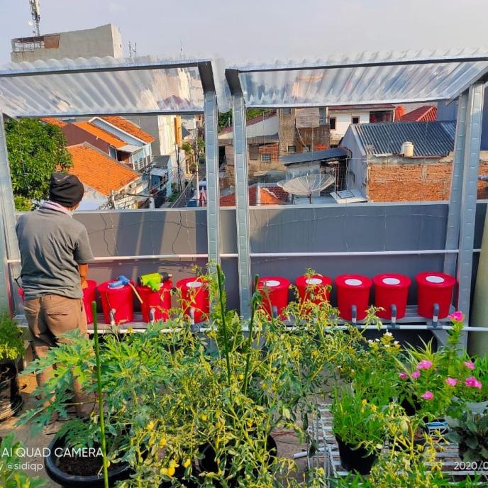 instalasi hidroponik 5 set ember dutch bucket