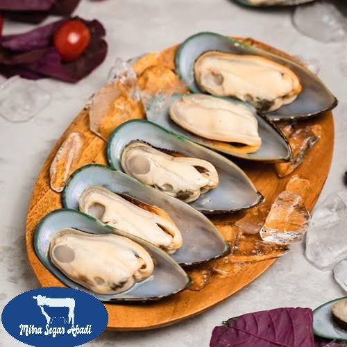 

GREEN MUSSELS IMPORT / KERANG HIJAU IMPORT @1KG