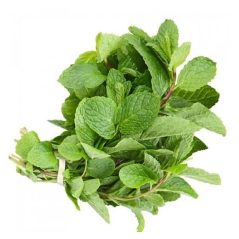 

Daun Mint Fresh per 250gr