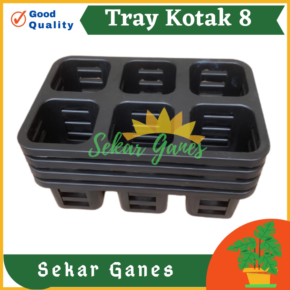 PROMO MURAH Tray Pot Kotak 8 cm Warna Hitam Tray Semai Bibit TRYPOT KOTAK 8 cm NKT 8 cm NKT JUOSS 8 Tray Semai 200 105 50 128 72 288 Lubang Padi Tutup Tebal-Tray pot nkt kotak 8cm (tanpa pot) | nkt kotak 8cm | tray semai bibit