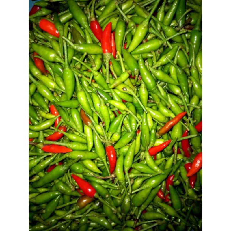 

CABE RAWIT HIJAU KECIL 1kg