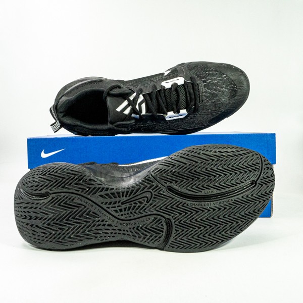 Sepatu Basket Nike Giannis Immortality 2 Dm0825-002 Original Bnib