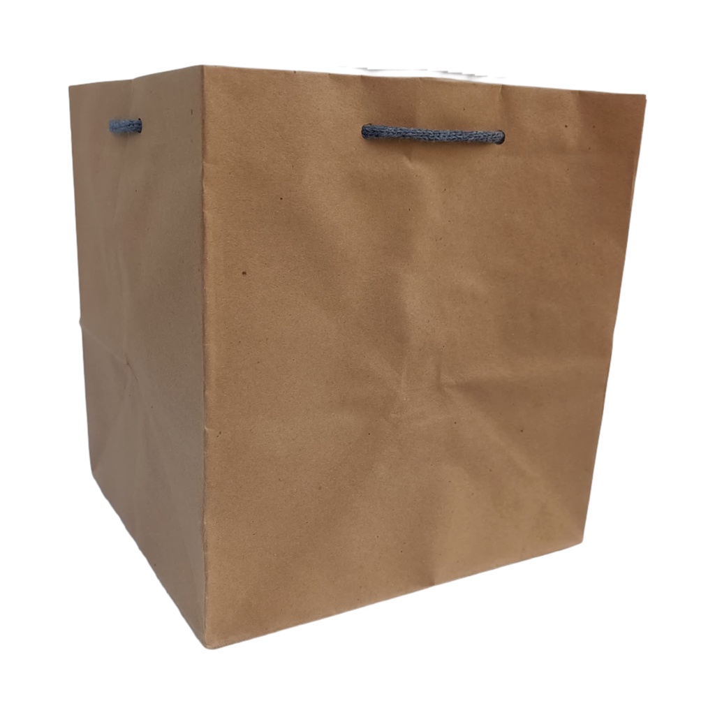 Paper Bag Polos Craft Uk 22x21x25 R10K [ECERAN] Kotak Nasi GOODIE BAG paperbag murah / Tas Kertas kotak nasi