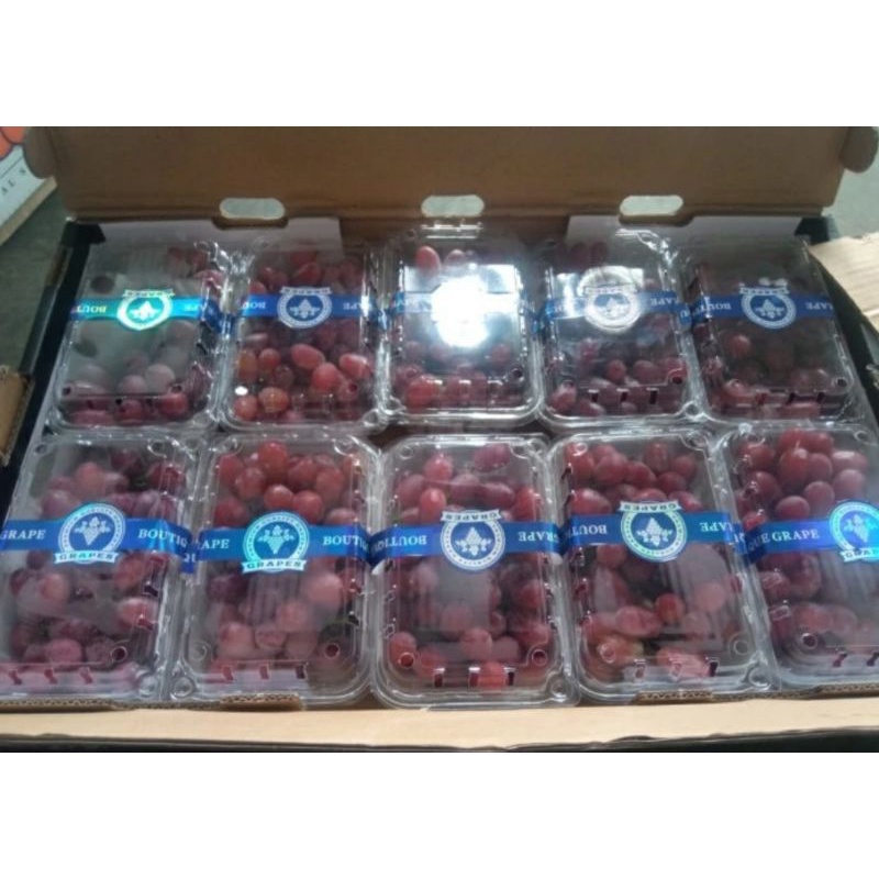 

anggur crimson 500gr/pack