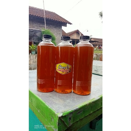 

madu murni tawon jowo | lebah lokal kemasan 1kg | 1000gr