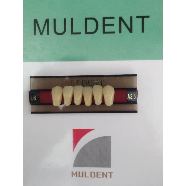 GIGI PALSU / GIGI MULDENT - DEPAN BAWAH / PER BARIS ISI 6PCS / UKURAN L6: A3.5