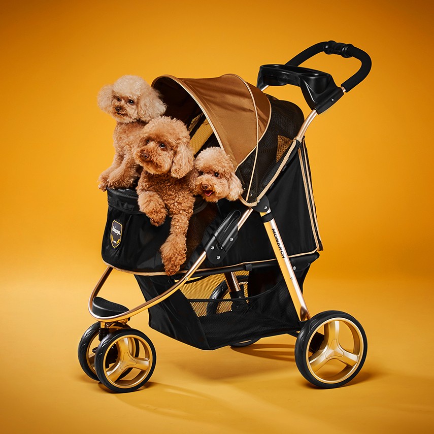 LUXURY PET STROLLER IBIYAYA/ STROLLER IBIYAYA MONARCH GOLD