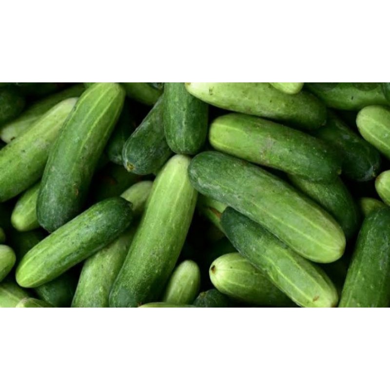 

timun lalab